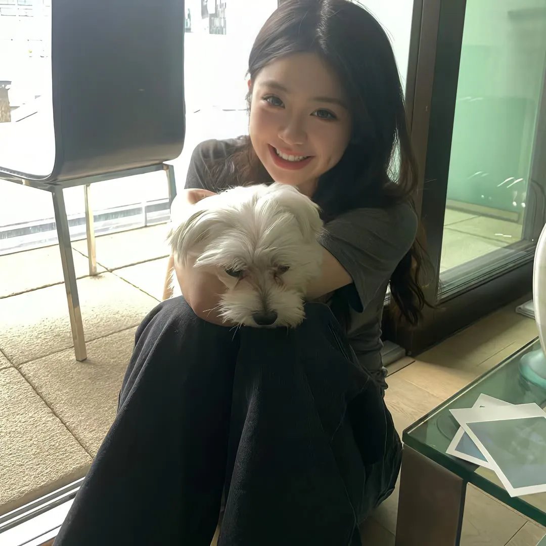 来自中国的熊猫